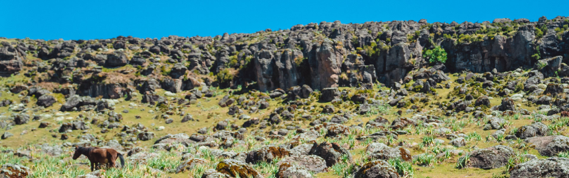 Bale Mountains Trekking 